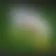 Zagraj Let It Ride z Playtech w {"id":19,"name":"Cashed","design":{"logo":"cashed-logo.YK0CnY.svg","favicon":"cashed-favicon.KAH1Yw.png","banner_poker":"cashed-poker-0jUiTm.webp","banner_mobile":"cashed-mobile-6FrDri.webp","block_bg_color":"#01312C","image_bg_color":"#52525b","banner_bg_color":"#01312C","block_text_color":"#ffffff","primary_bg_color":"#001310","banner_text_color":"#fff","footer_logos_type":"white","block_round_radius":"0.5rem","primary_text_color":"#f4f4f5","button_round_radius":"0.75rem","banner_welcome_bonus":"cashed-welcome-bonus-YqQj6a.webp","primary_button_bg_color":"#A98144","primary_button_text_color":"#fff","secondary_button_bg_color":"#064e3b","secondary_button_text_color":"#fff"},"created_at":"2025-05-14T09:25:22.000000Z","updated_at":"2025-05-14T09:25:22.000000Z","deleted_at":null}
